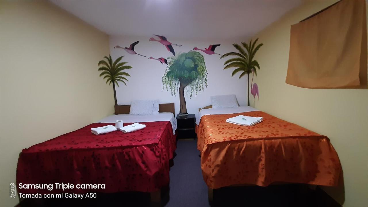 Hostal Sambleno Cusco Piero Suite المظهر الخارجي الصورة